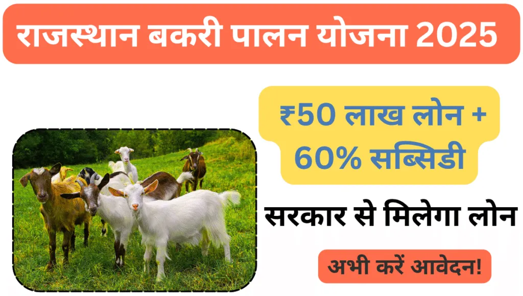 Rajasthan Bakri Palan Yojana 2025: ₹50 लाख तक का लोन और 60% सब्सिडी – जानिए आवेदन प्रक्रिया, पात्रता और लाभ 4 Rajasthan Bakri Palan Yojana 2025
