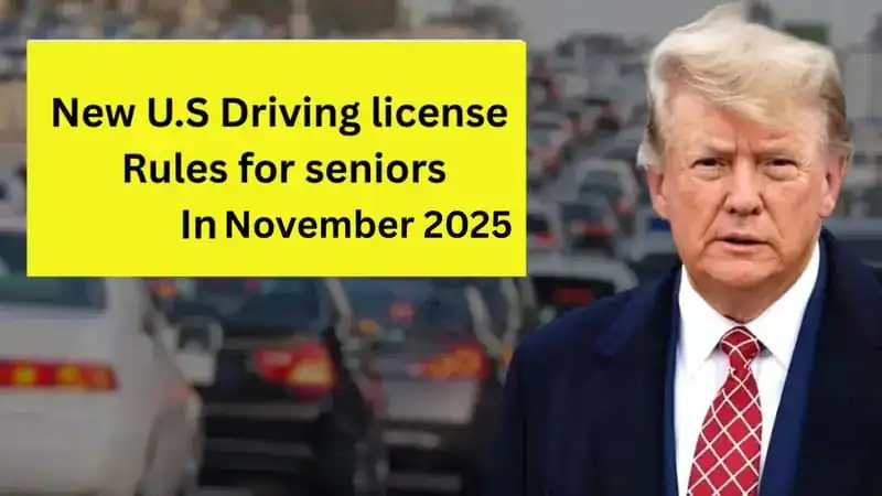 New US. Driving License Rule for Seniors Takes Effect November 2025 – Key Changes Every Driver Over 70 Must Know 4 New US. Driving License Rule